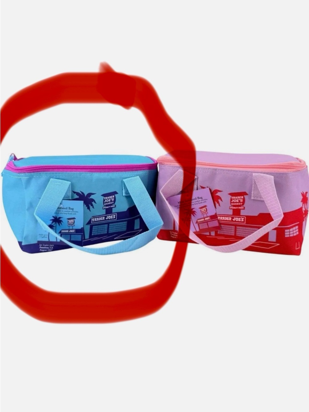 Trader Joe's Light Blue Insulated Lunch Bag